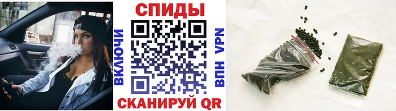 блэк спрут зеркало  где купить наркоту  Куса  Бутират бутик 