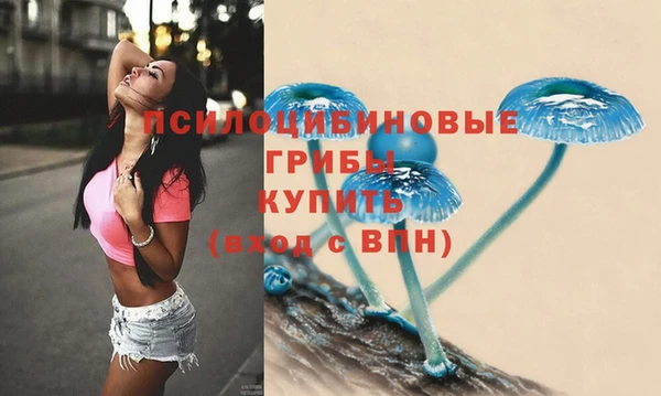jwh Беломорск