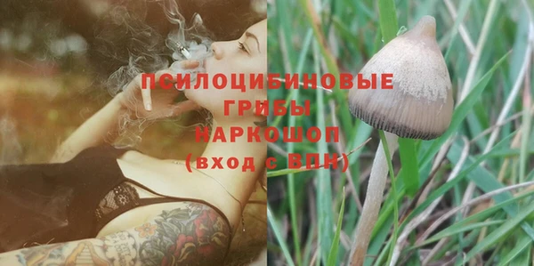 MESCALINE Белокуриха