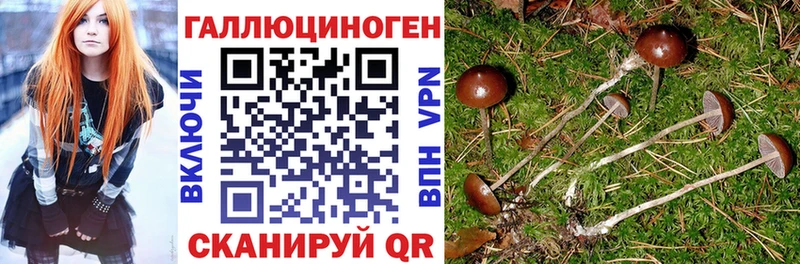 купить наркоту  Куса  Псилоцибиновые грибы мухоморы 
