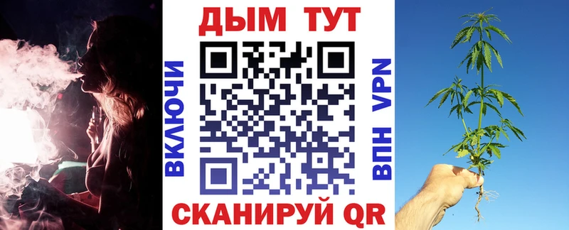 Марихуана гибрид  Куса 